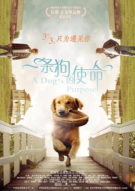 欧洲亚洲成人