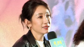 欧美一区二区三区网站